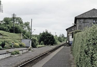 Tour Zu Fuß Sligo Municipal Borough District - Oakwood Trail - Photo