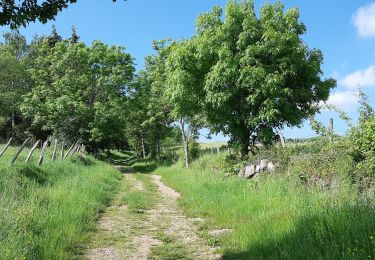 Randonnée Marche Besse-et-Saint-Anastaise - BESSE - PAVIN - Photo