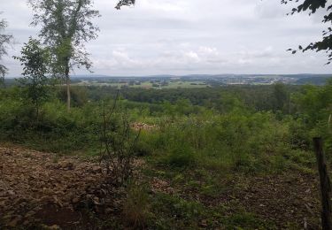 Randonnée Marche Villars-Saint-Georges - villars - Photo