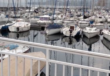 Trail Walking Aix-les-Bains - 2024/01/15 Grand port- Corsuet - Photo