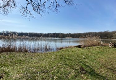 Randonnée Marche Peltre - Peltre étang fort de chesny - Photo