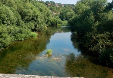 Excursión A pie Widdern - Olnhausen-Harthäuser Wald - Photo