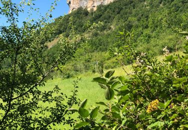 Tocht Stappen Loubressac - Loubressac - Photo