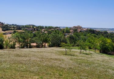 Trail Walking Auvillar - auvillar mirandoux - Photo