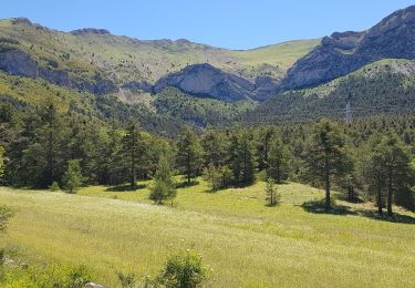 Tocht Stappen Demandolx - castellane demandolx - Photo