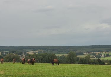 Tour Wandern Sainte-Ode - rando beauplateau 24-08-2023 - Photo