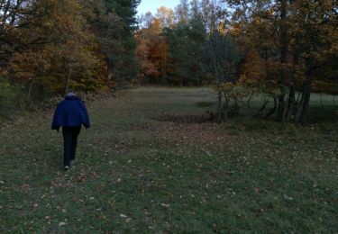 Tocht Stappen Le Sauze-du-Lac - Balcons du Lac 081121 - Photo