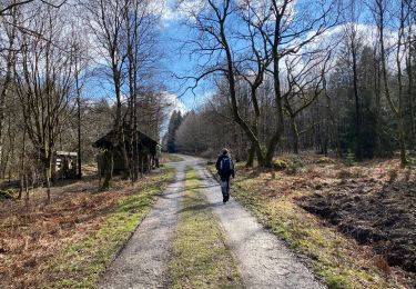 Excursión Senderismo Eupen - Hautes Fagnes hohes Venn 20 km - Photo