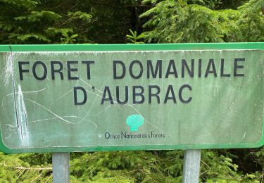 Tocht Stappen Curières - Cascade du devèz et fosse à loup - Photo