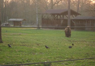 Percorso A piedi Sconosciuto - Rundweg 3, Dünenweg - Photo