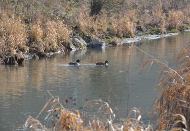 Tocht Te voet Zell an der Pram - Marterlweg 3 Blümling - Photo