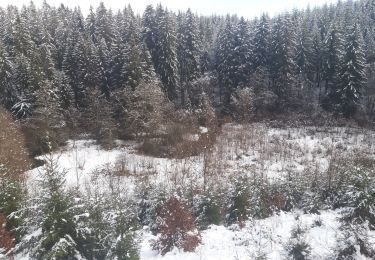 Randonnée Marche Martelange - pont d'Oye - Photo