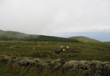 Tocht Te voet Prainha - Caminho dos Burros - Vertente Norte - Photo