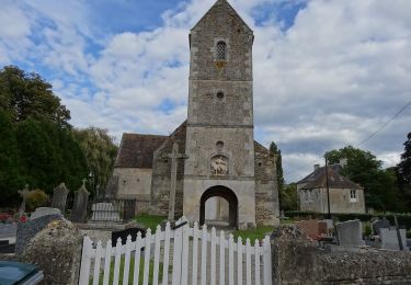 Percorso A piedi Barou-en-Auge - Circuit de la Trappe au Loup - Photo