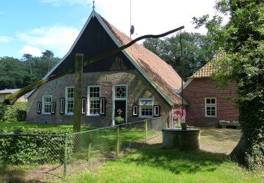 Percorso A piedi Haaksbergen - Wandelnetwerk Twente - blauwe route - Photo