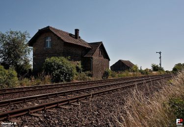 Randonnée A pied Santok - Gorzów - Santok - Photo