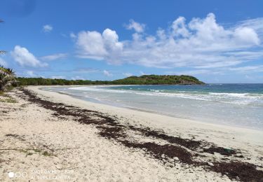 Trail Walking Sainte-Anne - salines-trabaud - Photo