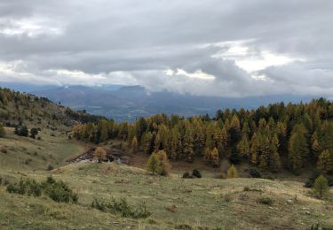 Excursión Senderismo Ancelle - Randonnée Tour poussière - Photo