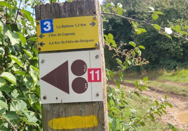 Trail Walking Saint-Affrique - s - Photo