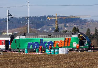 Randonnée A pied Rafz - Rafz Bahnhof - Lottstetten - Photo