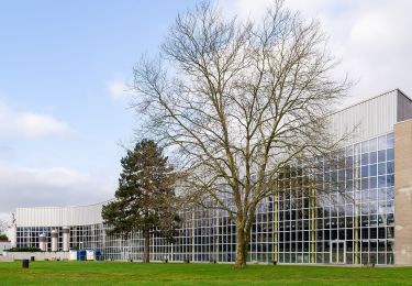 Tour Zu Fuß  - Doppelbalken Krefeld Rheinstraße - Bockum - Photo