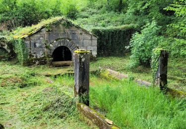 Randonnée Marche Ferrières-les-Bois - ferrières - Photo