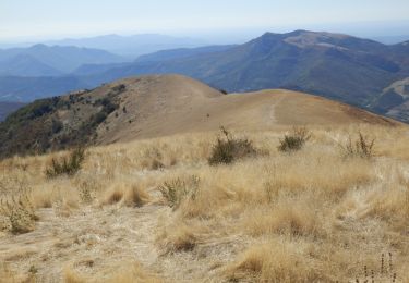 Trail Walking Valouse - 2019-09-29 16:27:25 - Photo