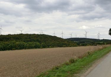 Tocht Te voet Paderborn - Mittelholz - Photo