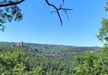Trail Walking Najac - Du vvf à l’Aveyron  - Photo