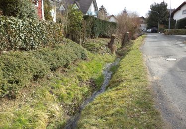 Percorso A piedi Freigericht - Horbach (Feuerwehr) Rundwanderweg Schmetterling - Photo