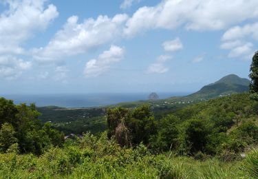 Tour Wandern Les Trois-Îlets - La Pagerie - Photo