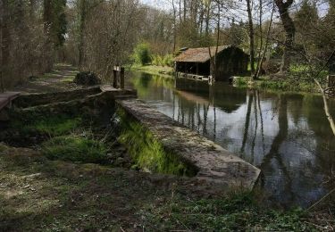 Percorso Marcia Briarres-sur-Essonne - Orville - Photo