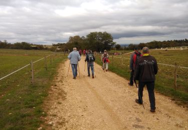 Trail Walking Morey-Saint-Denis - chammbolle - Photo