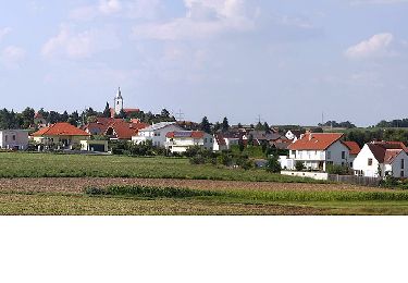 Tour Zu Fuß Klingenbach - Strecke 1 (Lauf- und Walkingstrecke Klingenbach) - Photo