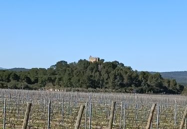 Tour Wandern Lézignan-Corbières - Lézignan Corbières-Argens Minervois-Olonzac - Photo