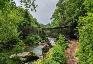 Trail Walking Boudry - 12-Gorges de l'Areuse - Photo