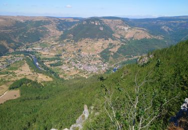 Tocht Stappen Gorges du Tarn Causses - La Condamine, le Single  - Photo