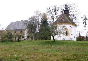 Tour Zu Fuß Eibiswald - Weingarten-Tour - Photo