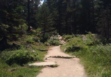 Tocht Stappen Cauterets - Lac de Gaube - Montée par GR10 - Photo