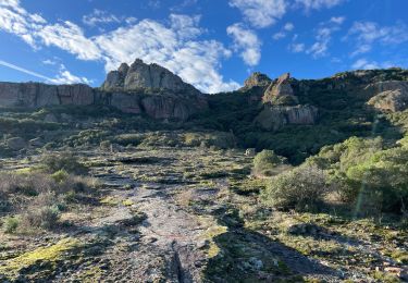 Excursión Senderismo Roquebrune-sur-Argens - Trois croix MM - Photo