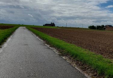 Tour Wandern Villers-la-Ville - MARBAIS _ Marche Adeps _ BW _ 27/09/2022 - Photo