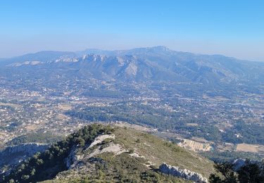 Tocht Stappen Aubagne - Le Garlaban la grotte de pape  - Photo