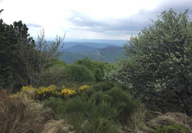 Trail Walking Valgorge - Meyrand to mélange - Photo