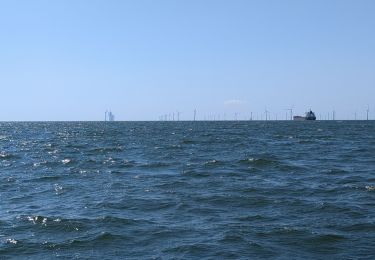 Tour Segelboot Les Sables-d'Olonne - Turballe retour - Photo