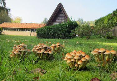 Percorso A piedi Rheden - Beekhuizen Keienberg Veluwezoom - Photo