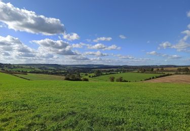 Tocht Noords wandelen Rouvroy - Couvreux - Photo