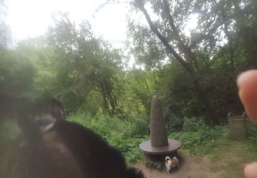 Trail Horseback riding Neupré - menhir - Photo