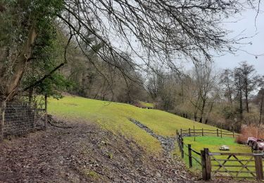 Excursión Senderismo Engis - Hermalle-sous-Huy : boucle de la Gérée (longue) - Photo