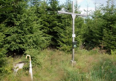 Tour Zu Fuß Drolshagen - Drolshagen Rundweg (D) - Photo