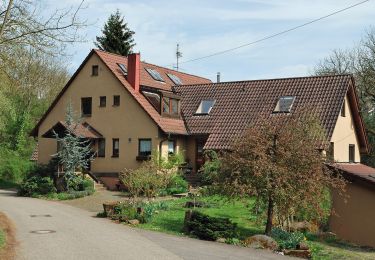 Excursión A pie Ditzingen - DE-Leonberg-Höfingen Glaunhalde - Talmühle - Photo